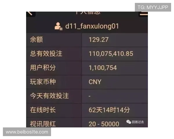 亚星百家乐网站如何保障玩家资金安全与隐私保护措施